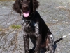 kaizer