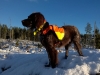 Sofus jakt
