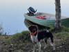 IMG-7346