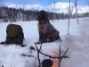 Tero på vinterfjallet