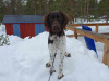 charlie-vinter